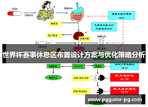 世界杯赛事休息区布置设计方案与优化策略分析