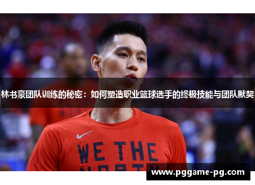 林书豪团队训练的秘密:如何塑造职业篮球选手的终极技能与团队默契 林书豪团队训练的秘密:如何塑造职业篮球选手的终极技能与团队默契