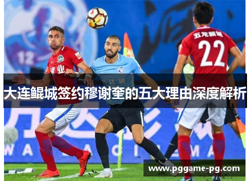 大连鲲城签约穆谢奎的五大理由深度解析