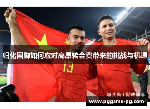 归化国脚如何应对高昂转会费带来的挑战与机遇 归化国脚如何应对高昂转会费带来的挑战与机遇