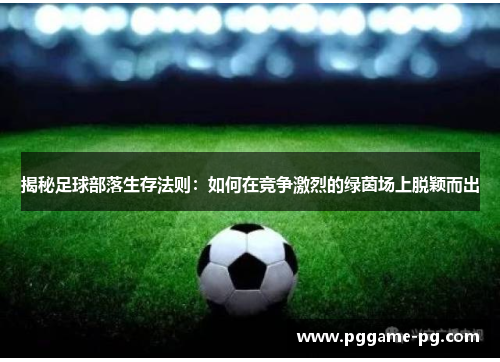 揭秘足球部落生存法则：如何在竞争激烈的绿茵场上脱颖而出