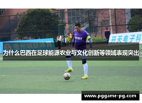 为什么巴西在足球能源农业与文化创新等领域表现突出