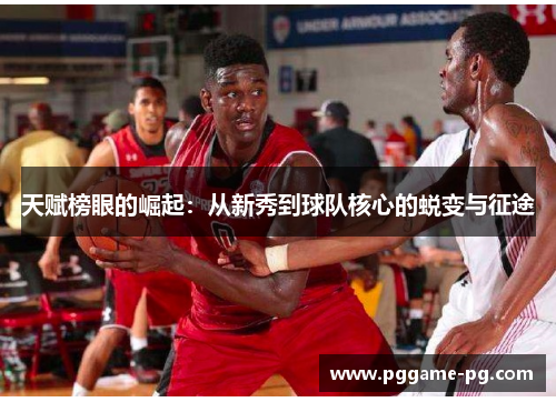 天赋榜眼的崛起：从新秀到球队核心的蜕变与征途