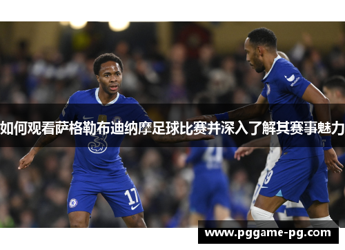 如何观看萨格勒布迪纳摩足球比赛并深入了解其赛事魅力