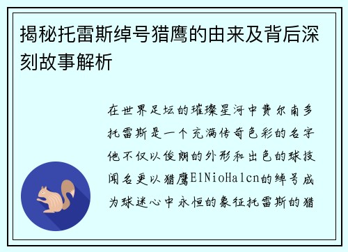揭秘托雷斯绰号猎鹰的由来及背后深刻故事解析 揭秘托雷斯绰号猎鹰的由来及背后深刻故事解析